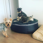 Cama Mediana de Lujo para Perro (Original)