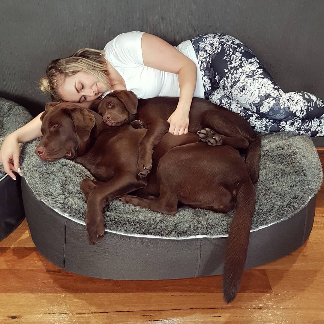 Cama Grande de Lujo para Perro (Original)