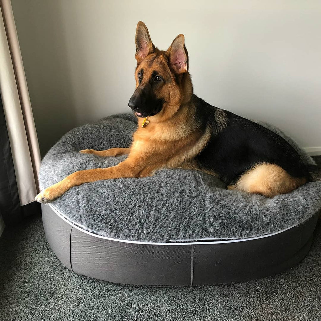 Cama Grande de Lujo para Perro (Original)