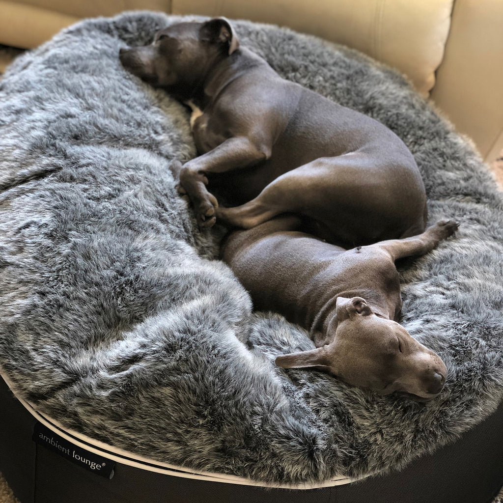 Cubierta Deluxe para Cama de Perro Grande (Original)
