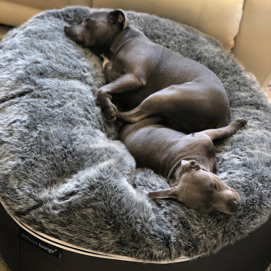 Cubierta Deluxe para Cama de Perro Grande (Original)