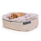 Conjunto de Cama Pequeña para Perros (Cappuccino) y Cubierta (Cappuccino)