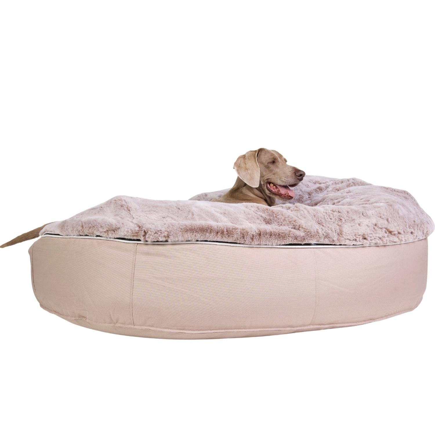 Conjunto de Cama Grande para Perros (Cappuccino) y Cubierta (Wild Animal)