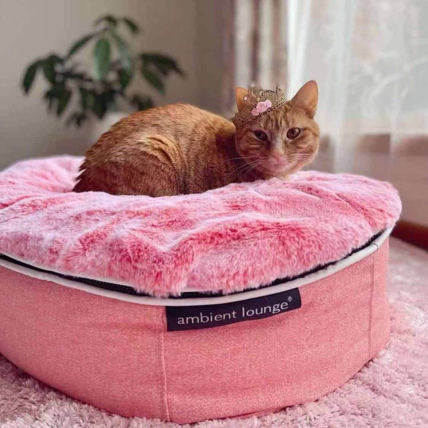 Cama Pequeña de Lujo para Gato (Pink Ltd. Edition)