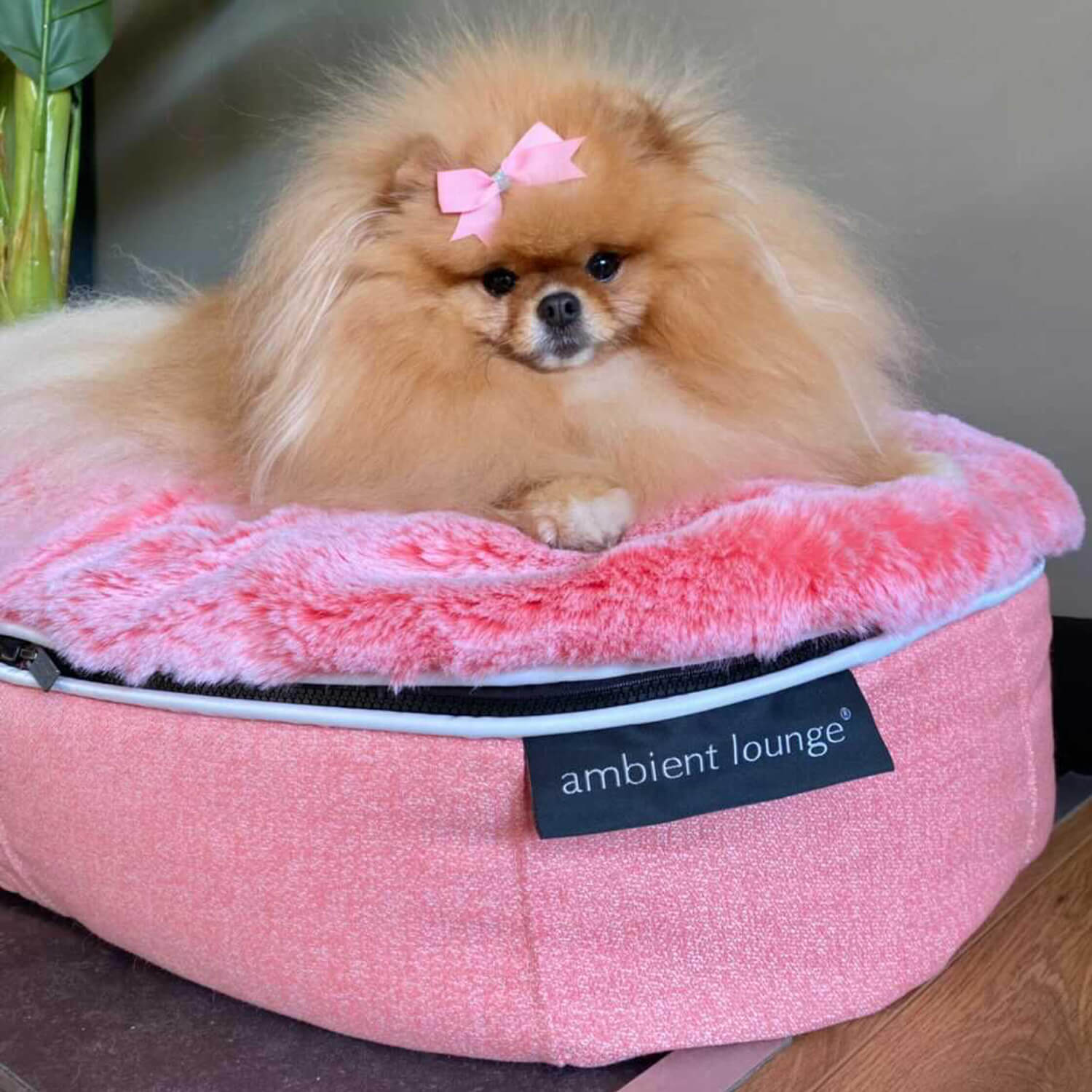 Conjunto de Cama Pequeña para perros (Pink Ltd. Edition) y ThermoCool Mat S