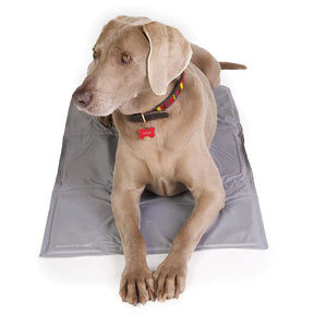 Conjunto de Cama Grande para perros (Pink Ltd. Edition) y ThermoCool Mat L