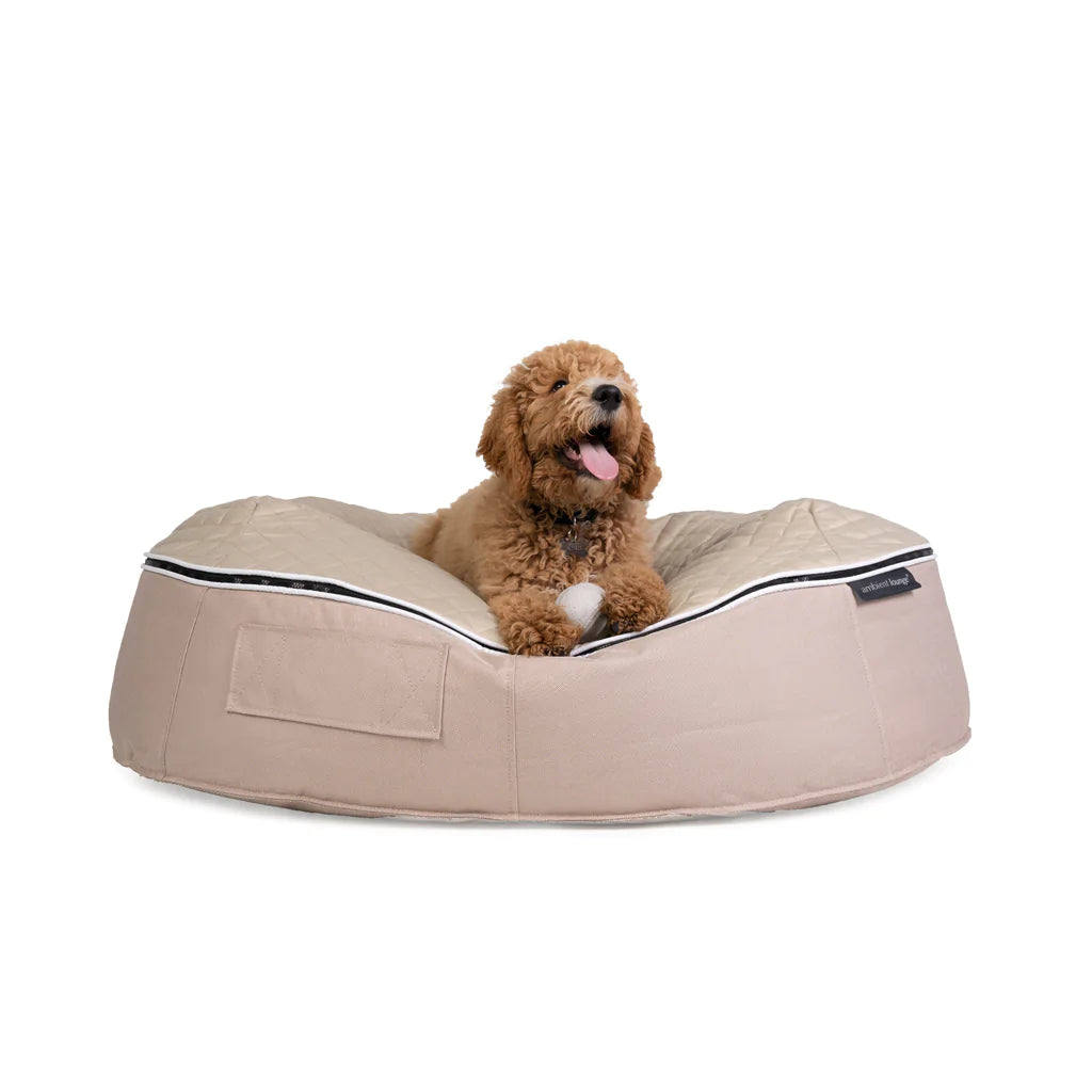 Conjunto de Cama Pequeña para Perros (Cappuccino) y Premium ThermoQuilt