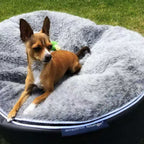 Cubierta Deluxe para Cama de Perro Mediana (Original)