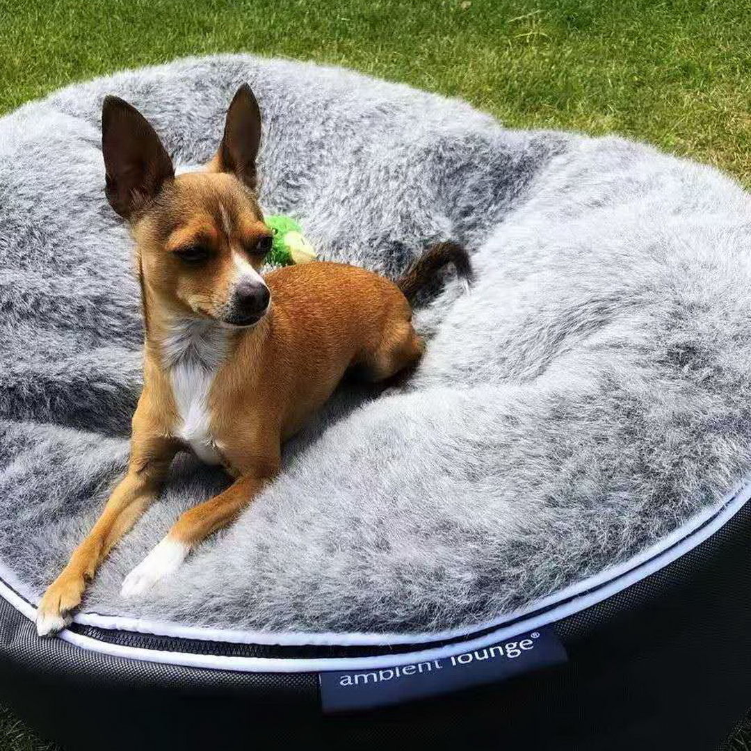 Cubierta Deluxe para Cama de Perro Mediana (Original)
