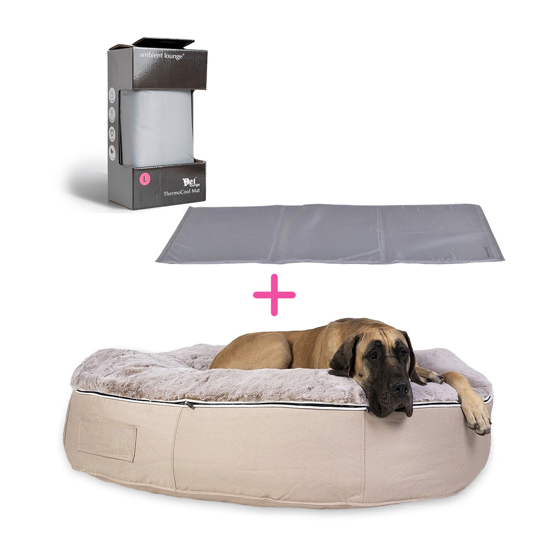 Conjunto de Cama Extra Grande para Perros (Cappuccino) y ThermoCool Mat L