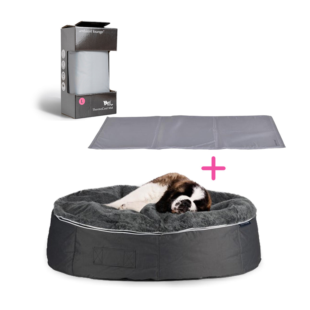 Conjunto de Cama Extra Grande para Perros (Original) y ThermoCool Mat L