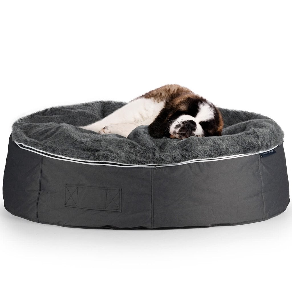 Conjunto de Cama Extra Grande para Perros (Original) y Cubierta (Wild Animal)