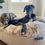 Cama Extra Grande de Lujo para Perro (Cappuccino)