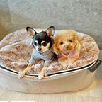 Conjunto de Cama Pequeña para Perros (Cappuccino) y y ThermoCool Mat S