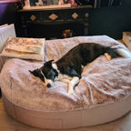 Cama Extra Grande de Lujo para Perro (Cappuccino)
