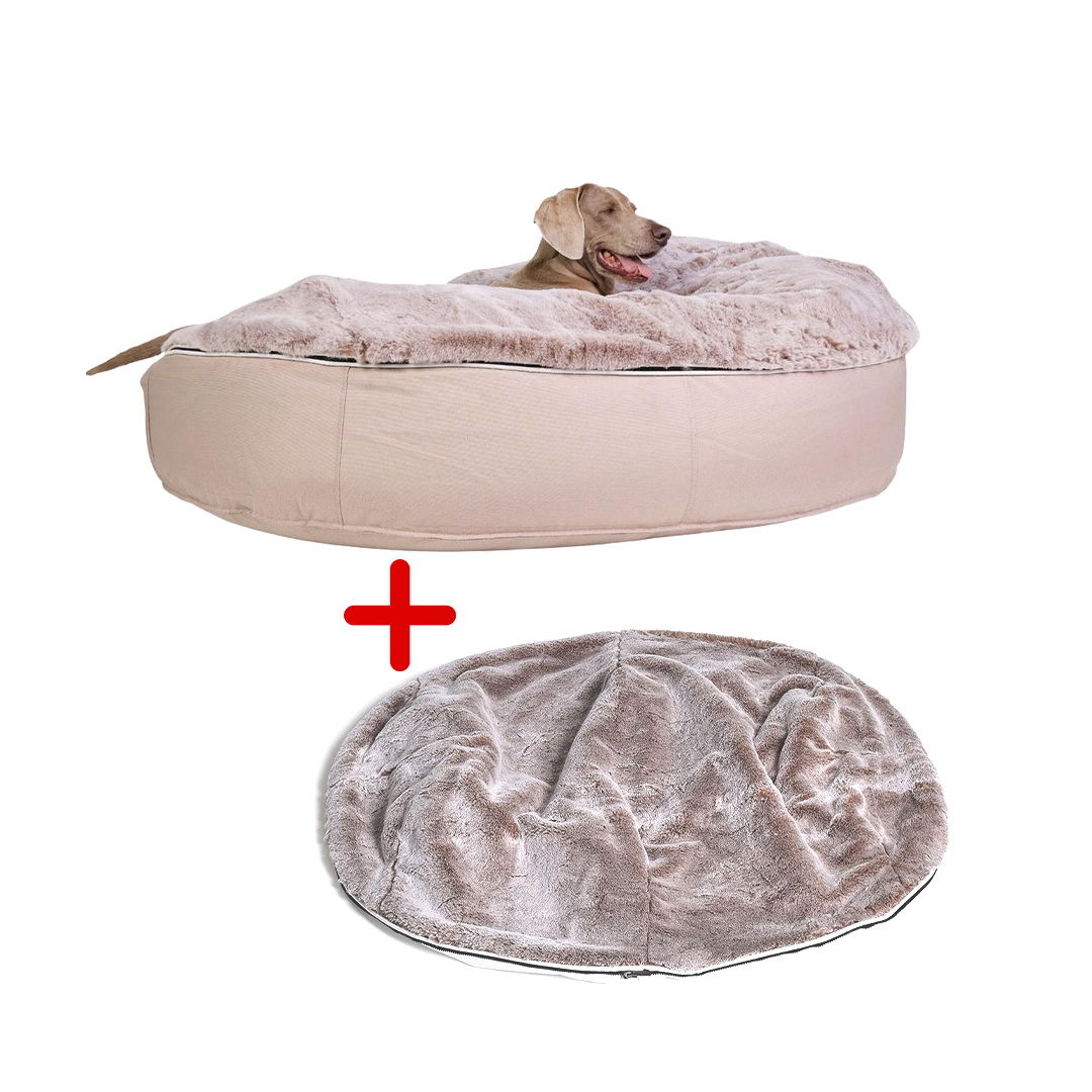 Conjunto de Cama Grande para Perros (Cappuccino) y Cubierta (Cappuccino)