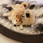 Cama Grande de Lujo para Perro (Wild Animal)