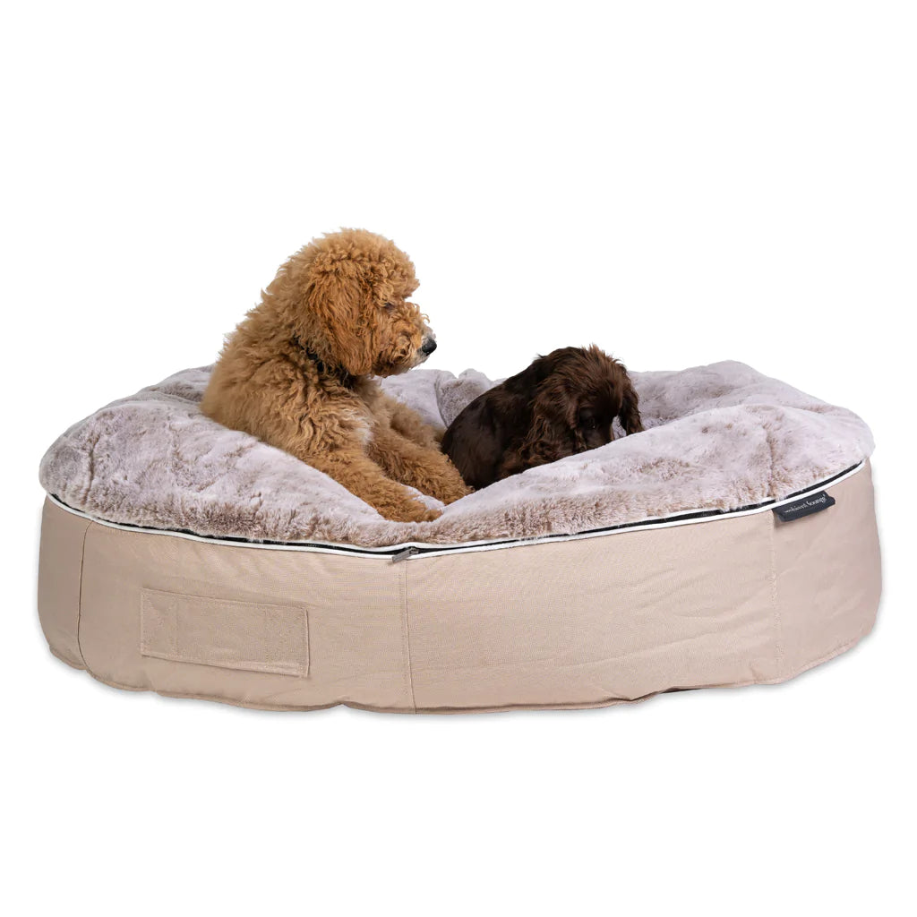 Conjunto de Cama Grande para Perros (Cappuccino) y Premium ThermoQuilt