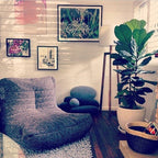 Acoustic Sofa - Luscious Grey