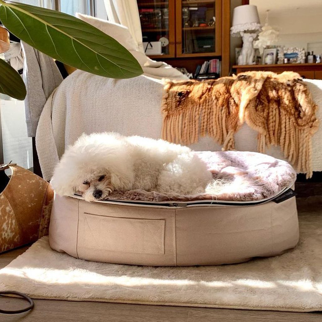 Cama Mediana de Lujo para Perro (Cappuccino)