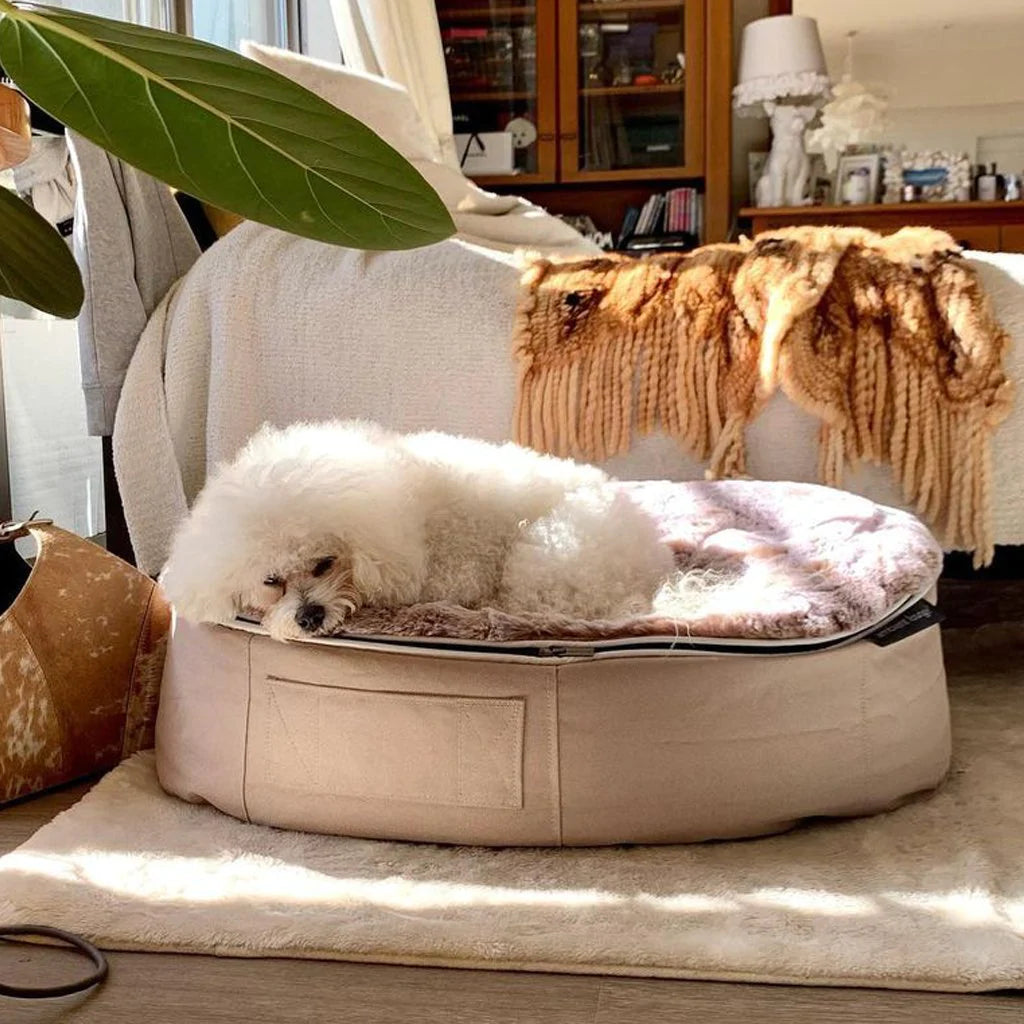 Conjunto de Cama Mediana para Perros (Cappuccino) y Premium ThermoQuilt