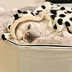 Cama Mediana de Lujo para Perro (Cappuccino)