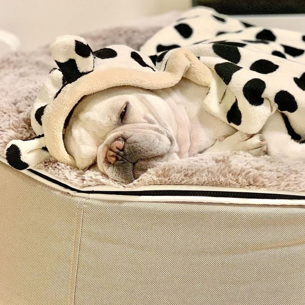 Cama Mediana de Lujo para Perro (Cappuccino)