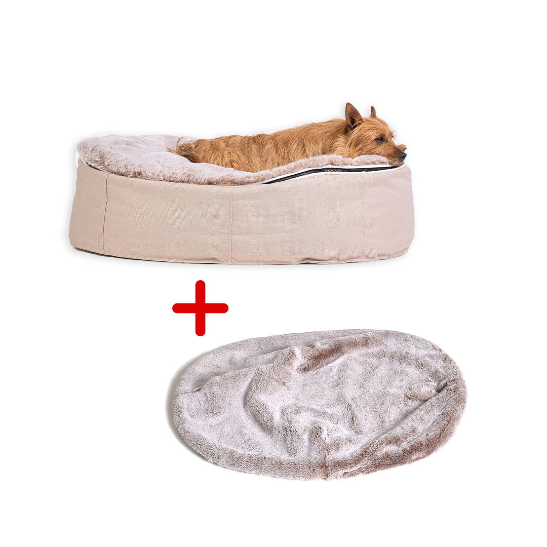 Conjunto de Cama Mediana para Perros (Cappuccino) y Cubierta (Cappuccino)