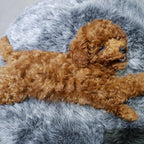 Cubierta Deluxe para Cama de Mascota Pequeña (Original)