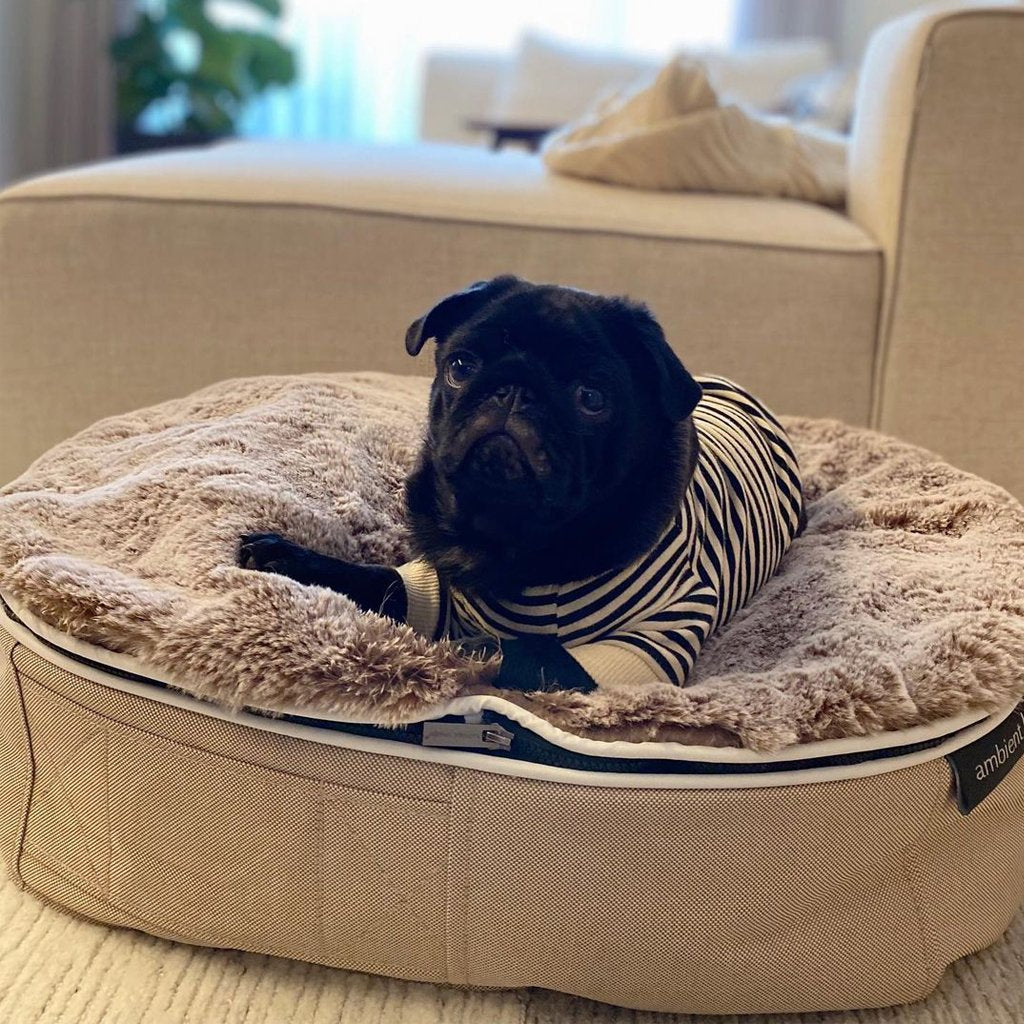 Cama Pequeña de Lujo para Perro (Cappuccino)