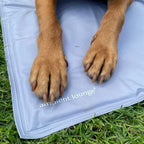 Manta refrescante para perro (cama G-E)