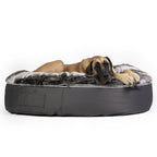 Conjunto de Cama Extra Grande para Perros (Original) y ThermoCool Mat L